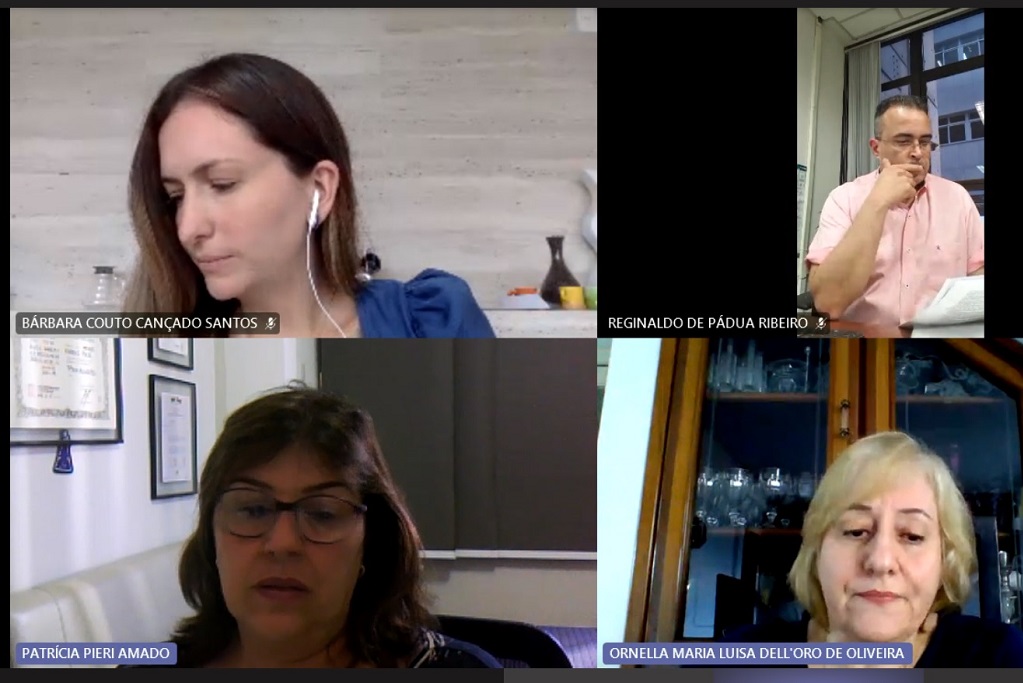 Aparência da tela no momento da reunião realizada por meio da plataforma Teams