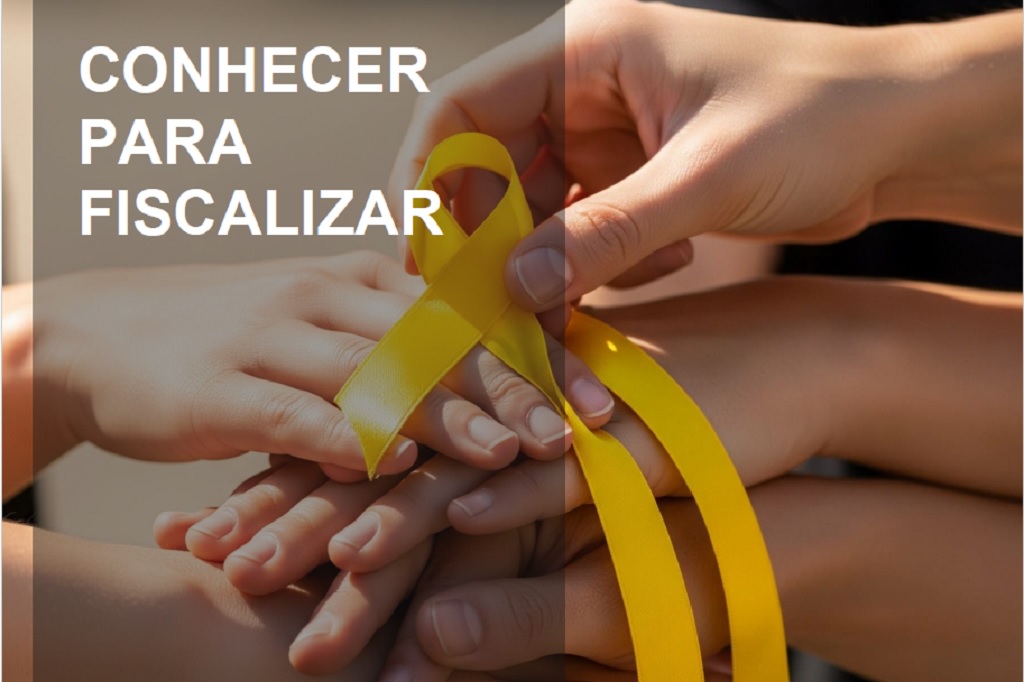 Relatório busca entender como os municípios mineiros estão lidando com a questão - Imagem: Reprodução do relatório