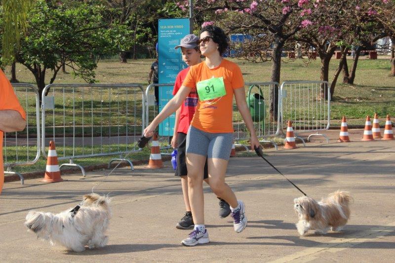 Também teve cãominhada