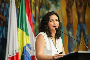 A diretora da Secretaria do Pleno, Flávia Ávila, apresentou brevemente o Portal Simplifica - Foto: Veronica Manevy/TCEMG