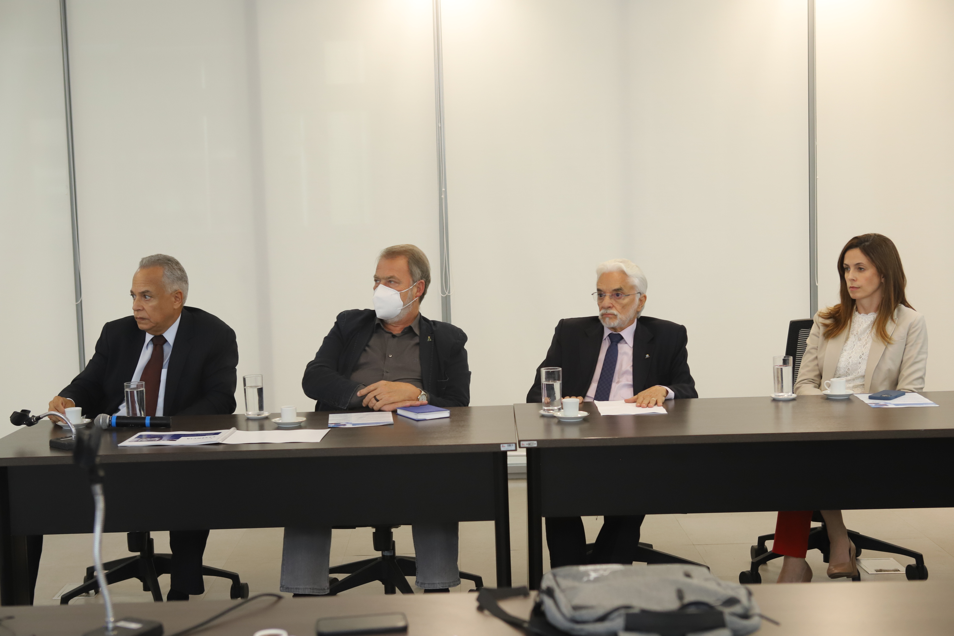 Conselheiros conhecem proposta de novo indicador de desenvolvimento dos municípios