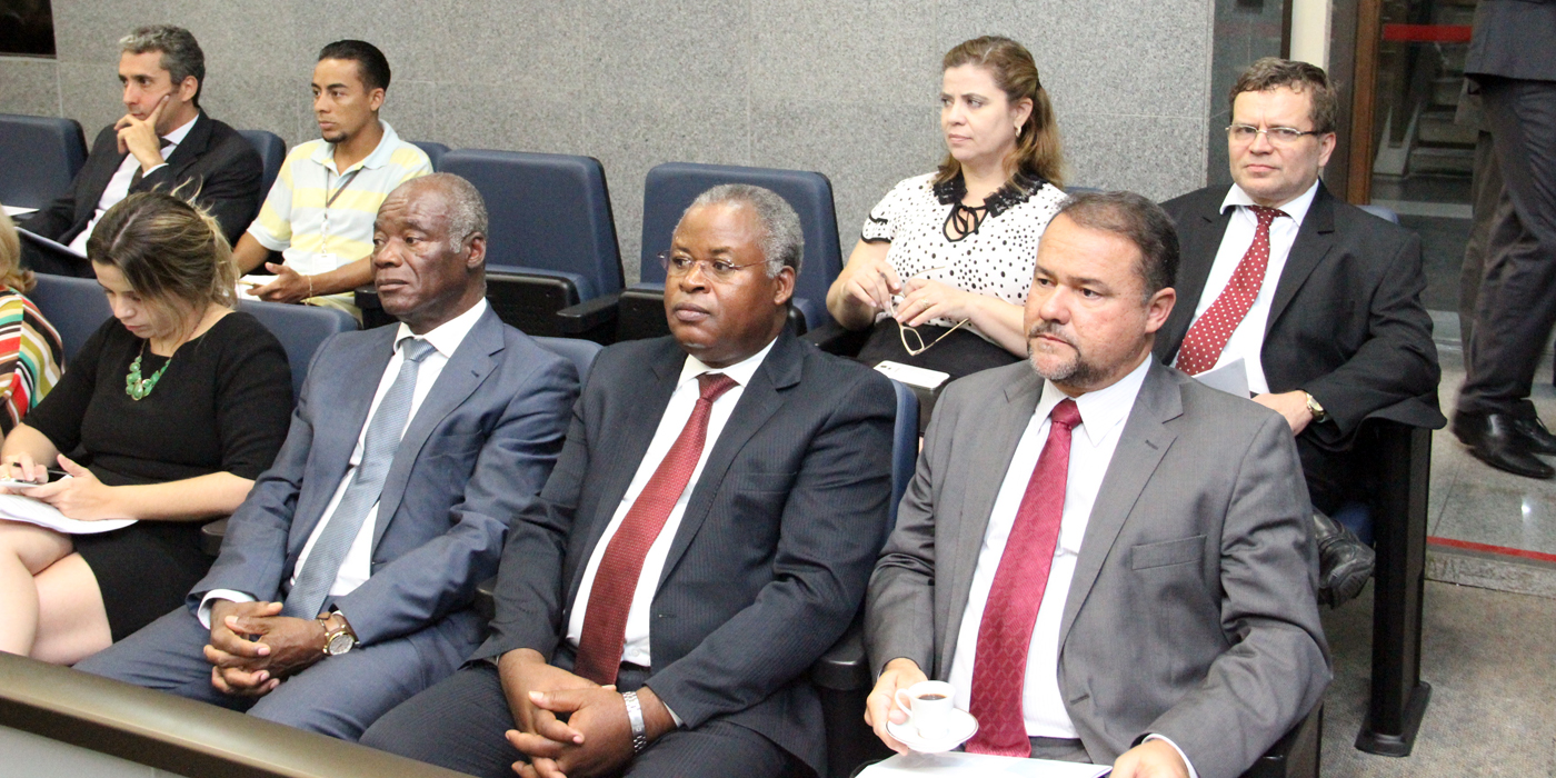 A comitiva de Moçambique assistiu a sessão plenária do dia 29/03 (Foto: Alda Clara)