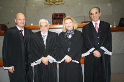 Conselheiros Antônio Carlos Andrada, Wanderley Ávila, Adriene Andrade e Sebastião Helvecio