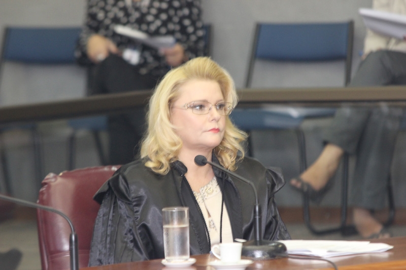 Decisão monocrática da Conselheira Adriene Andrade foi referendada pela Primeira Câmara