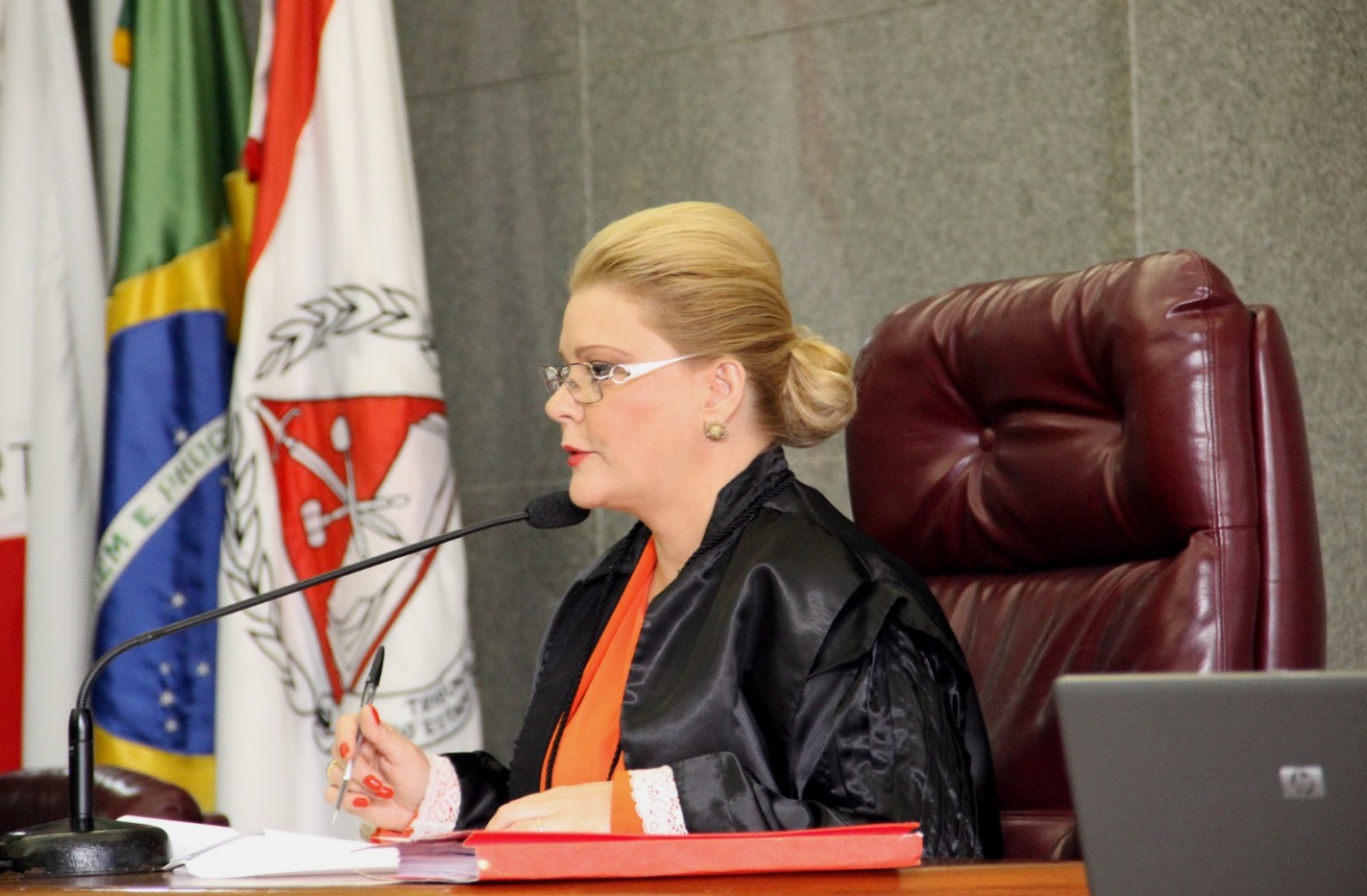 Conselheira Adriene Andrade (Foto: Karina Camargos Coutinho)